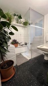 a bathroom with a shower and a toilet and a sink at Postcard view 3 minutes walk from the lake in Menaggio