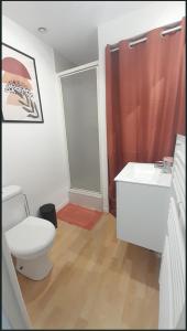 un bagno con wc, lavandino e doccia di Studio RDC l'Auron- wifi - cour a Vierzon