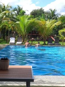 two men in a swimming pool with palm trees at Hill View Home Stay Bohol in Panglao