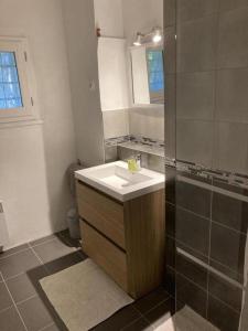 un bagno con lavandino e doccia di Le gite petit-conil a Correns