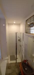 a bathroom with a shower and a sink at Chambres et table d'hôte Rabillou in Saint-Moreil