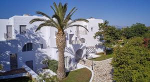 Zahrada ubytování Galaxy Hotel Naxos