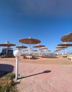 a group of umbrellas on a beach with tables and chairs at Fox Beach Inn in Hurghada
