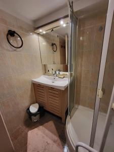 a bathroom with a shower and a sink and a tub at Maison de Campagne Les Loges de Brenne in Ardentes