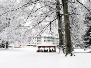 Parkhotel Hirschwang v zimě