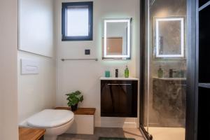 a bathroom with a toilet and a shower and a sink at Le Lodge de Longjumeau in Longjumeau +22 photos