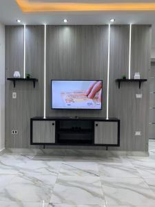 TV a/nebo společenská místnost v ubytování Madinty