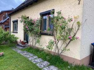 Zahrada ubytování Ferienhaus Irene