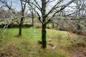 Zahrada ubytování Maison charmante à Meyrignac-l'Église avec cheminée + 4 fotografie