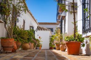 a courtyard with potted plants on a street at Idyllic Townhouse with Scenic Views Mijas Pueblo in Mijas