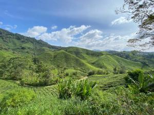 auliculiculiculiculiculiculiculiculiculiculiculiculiculiculic at 2B2R at Kae Farm in Brinchang