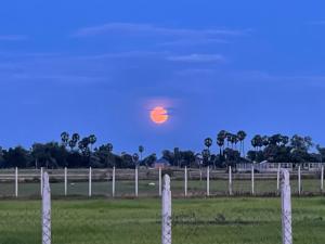 Foto dalla galleria di The Green Home a Siem Reap