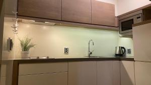 a kitchen with a sink and a microwave at Apartmán v Beskydech in Dolní Lomná