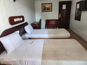 Postel nebo postele na pokoji v ubytování Golden Hôtel