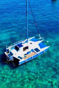 Naturlandskabet i nærheden af båden