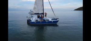 Naturlandskabet i nærheden af båden