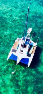 Naturlandskabet i nærheden af båden