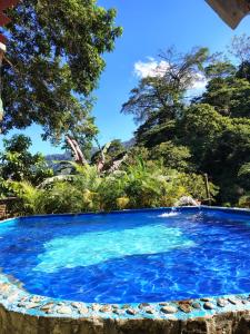 米卡Hotel El Santuario的一个蓝色的大泳池，背景是树木
