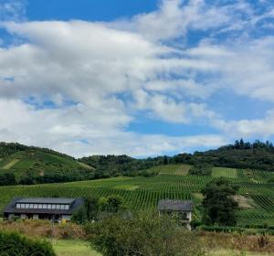 a vineyard on a hill with a building in the foreground at FeWo's Weinbergblick Wintrich by Brauneberger Hof in Wintrich