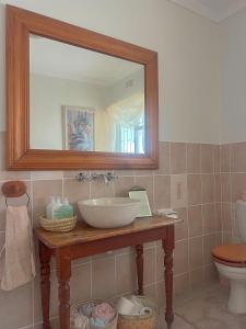 a bathroom with a sink and a mirror and a toilet at Cape Town Explorer's Rest in Meadowridge +13 photos