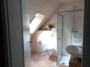 een badkamer met een wastafel, een toilet en een dakraam bij Ferienwohnung Helmers Gemütlich wie zuhause in Braunlage +13 foto's