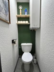 a small bathroom with a toilet and a green wall at Le Panorama - GÎTES MARCK in Turckheim