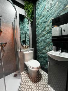 a bathroom with a shower and a toilet and a sink at The Snug King Bed in Portsmouth