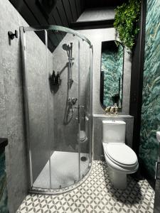 a bathroom with a shower and a toilet at The Snug King Bed in Portsmouth +6 photos