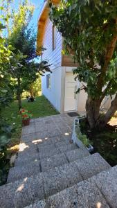 Vườn quanh DAT Nelly