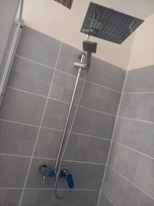a shower with a shower head in a bathroom at Pointe-à-Pitre chambre colocation vue mer in Pointe-à-Pitre