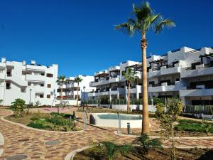 a palm tree in front of a large apartment building at El Sueño in San Juan de los Terreros