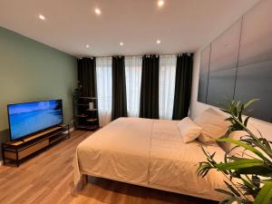 a bedroom with a large bed and a flat screen tv at Goldstadt Apartments in Pforzheim