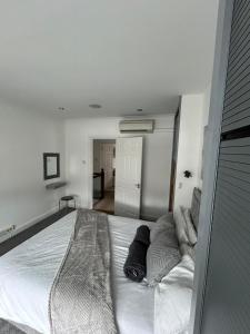 a large bed in a bedroom with white walls at Two bed town centre Ipswich apartment contractor stays leisure and travel in Ipswich