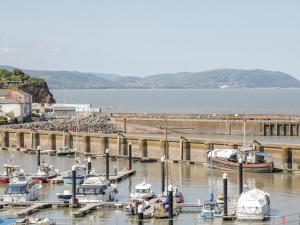 a group of boats docked in a harbor at The Well House Apartment in Watchet +17 photos