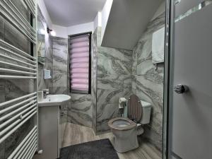 OnceştiにあるCasa Iuraのトイレと洗面台付きのバスルーム +70枚の写真