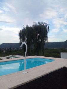 a swimming pool with a swan statue next to a tree at Casa en Lomas del Rey - Mayu Sumaj in San Antonio de Arredondo