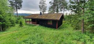 una pequeña casa en medio de un campo en Sauna | Wi-Fi | Terrace | Wood stove | Cable TV, en Lofsdalen