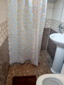 a bathroom with a shower curtain and a toilet at Зелений Рай in Dilijan +37 photos