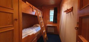 a bunk bed with a ladder in a room at Sauna | Wi-Fi | Terrace | Wood stove | Cable TV in Lofsdalen