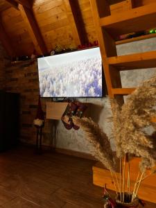 TV a/nebo společenská místnost v ubytování Vikendica Šumski mir Romanija