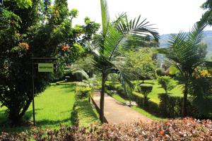 Ein Garten an der Unterkunft REBERO RESORT Ltd