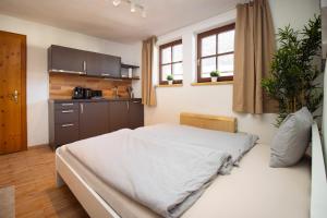 Kuchyň nebo kuchyňský kout v ubytování Apartmenthaus ROSE
