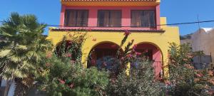 Giardino di Rose`s place