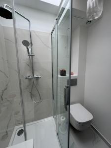 a bathroom with a shower and a toilet at La maison rouge proche de Paris in Fontenay-sous-Bois