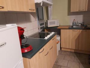 a small kitchen with a sink and a microwave at Chambre au coeur de la Gaume - Chambre 3 Vert-Jaune in Virton