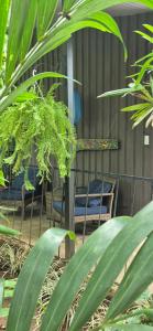 a couple of chairs sitting in front of a fence at Salamandra Costa Rica in Jiménez