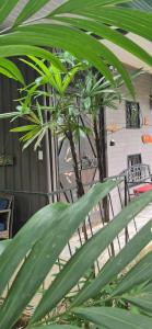 a plant in front of a table and chairs at Salamandra Costa Rica in Jiménez