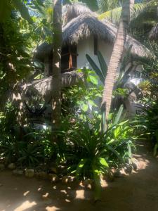 Hotel Descalzo SPA外面的花园
