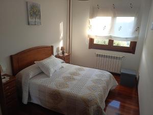 sypialnia z łóżkiem i oknem w obiekcie Sandino 32 w Santiago de Compostela