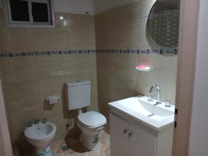 a bathroom with a toilet and a sink at Km 9 in Viedma +8 photos